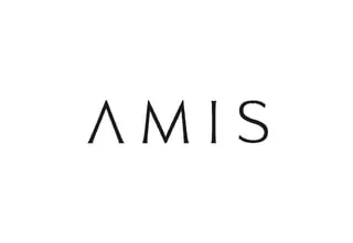 AMIS Developments
